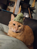 Spot's Pick!