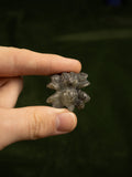 Labradorite Spider Carving