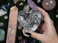 Fossil Heart Bowl