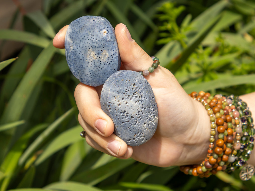 Blue Coral Palm Stone