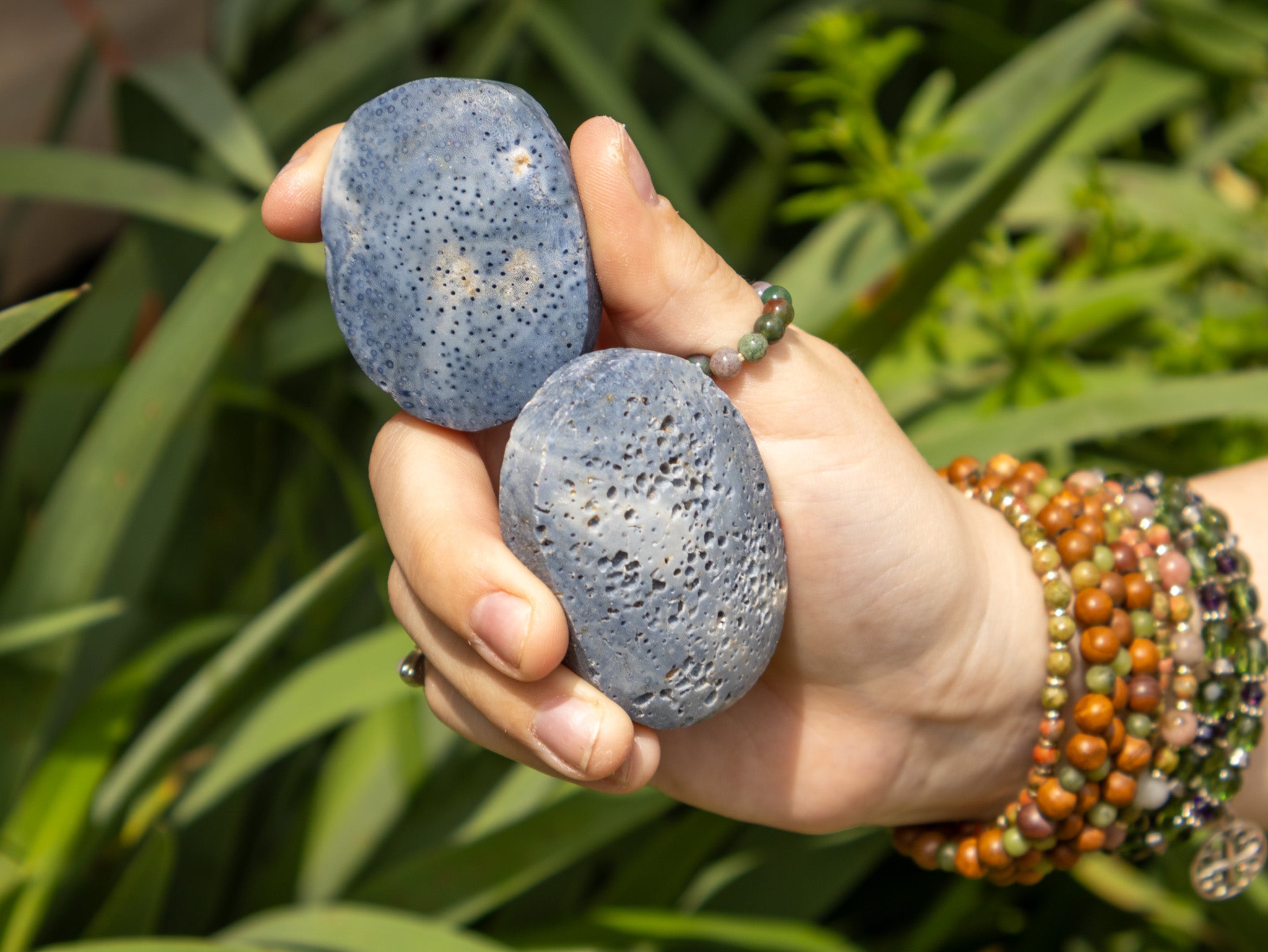 Blue Coral Palm Stone